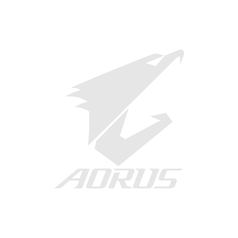 AORUS